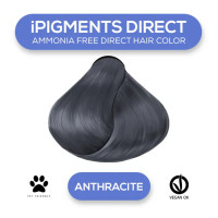 Прямой пигмент для волос iAM4u iPIGMENTS DIRECT Anthracite - 100 мл