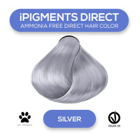 Прямий пігмент для волосся iAM4u iPIGMENTS DIRECT Silver - 100 мл